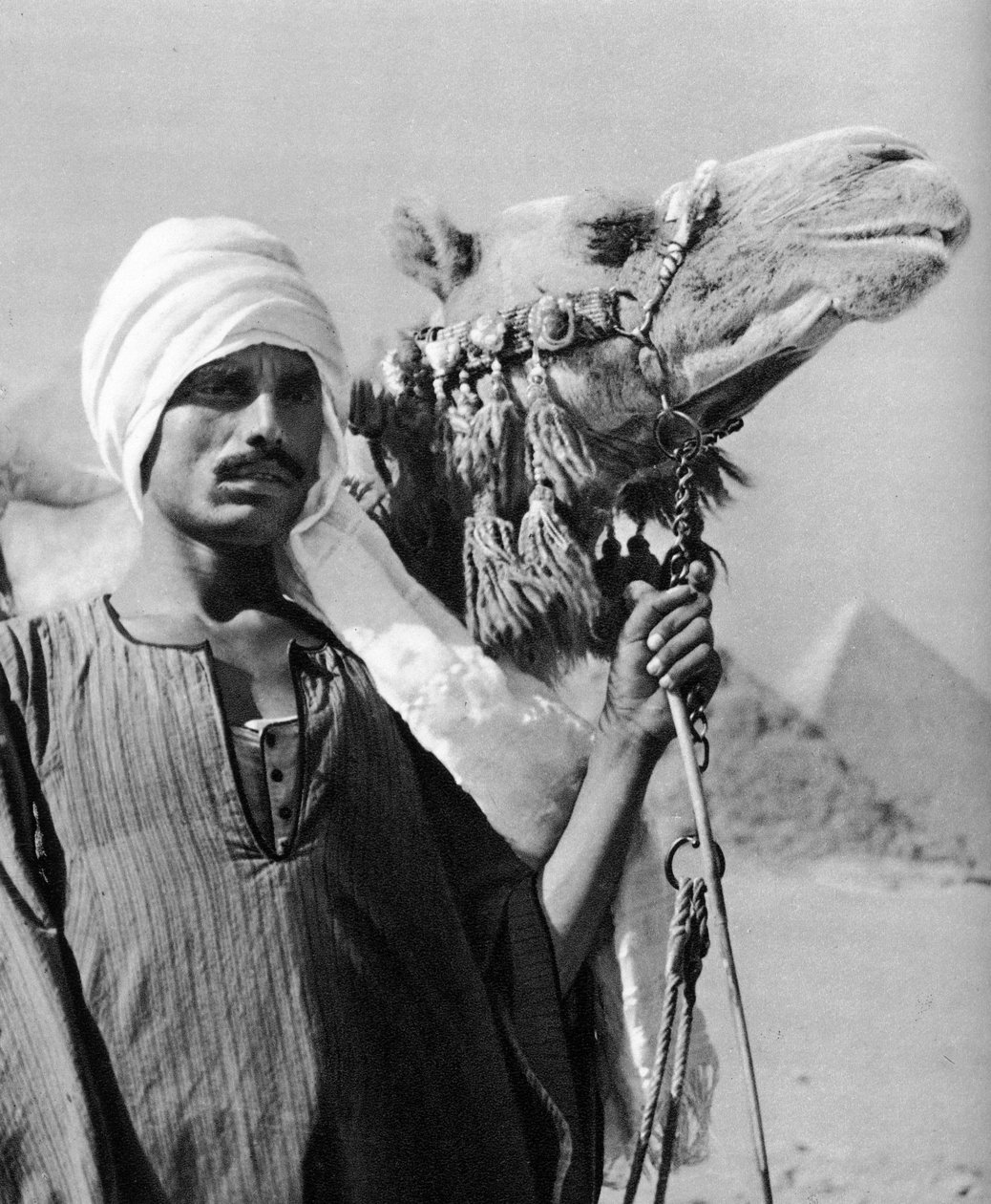 Cameldriver بالقرب من الأهرامات ، مصر ، 1937 بواسطة مارتن هورليمان