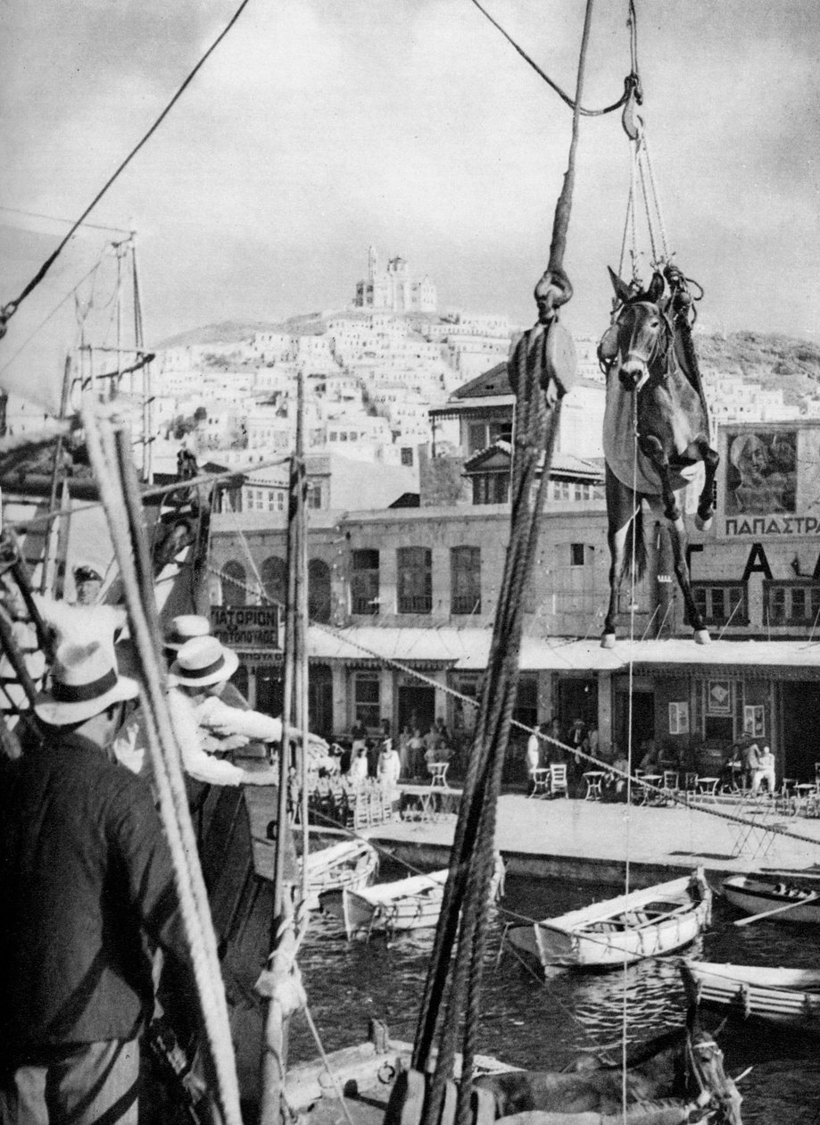 شحن البغال ، جزيرة سيروس ، اليونان ، 1937. بواسطة مارتن هورليمان