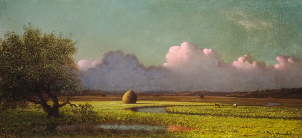ضوء الشمس والظل: The Newbury Marshes بواسطة مارتن جونسون هيد