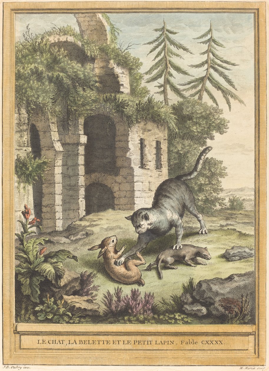 Le chat و la balette et le petit lapin (القط ، ابن عرس ، والأرنب) بواسطة مارتن مارفي بعد جان بابتيست أودري