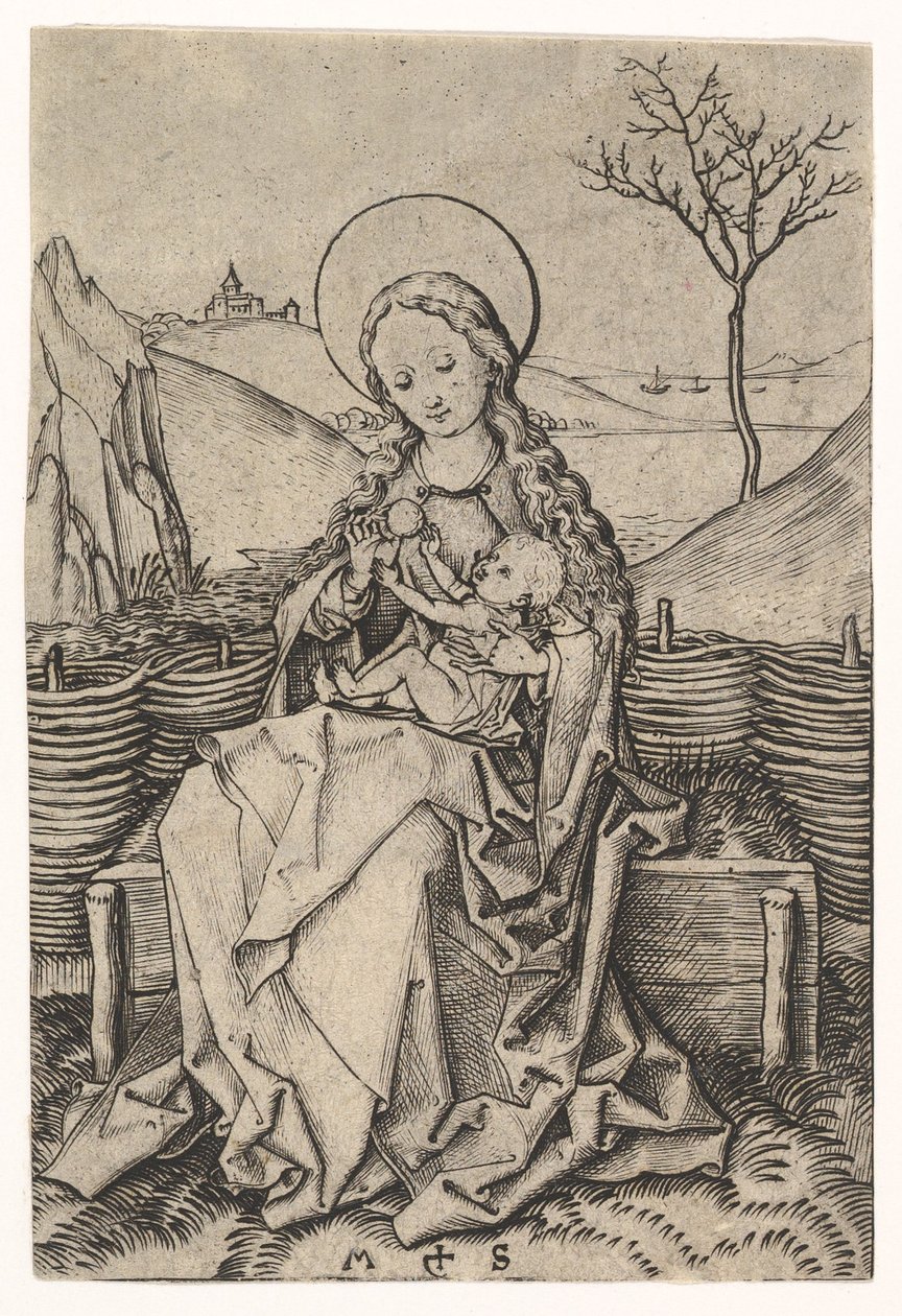 العذراء والطفل على مقعد عشبي ، كاليفورنيا. 1435-1491. بواسطة مارتن شونجاور
