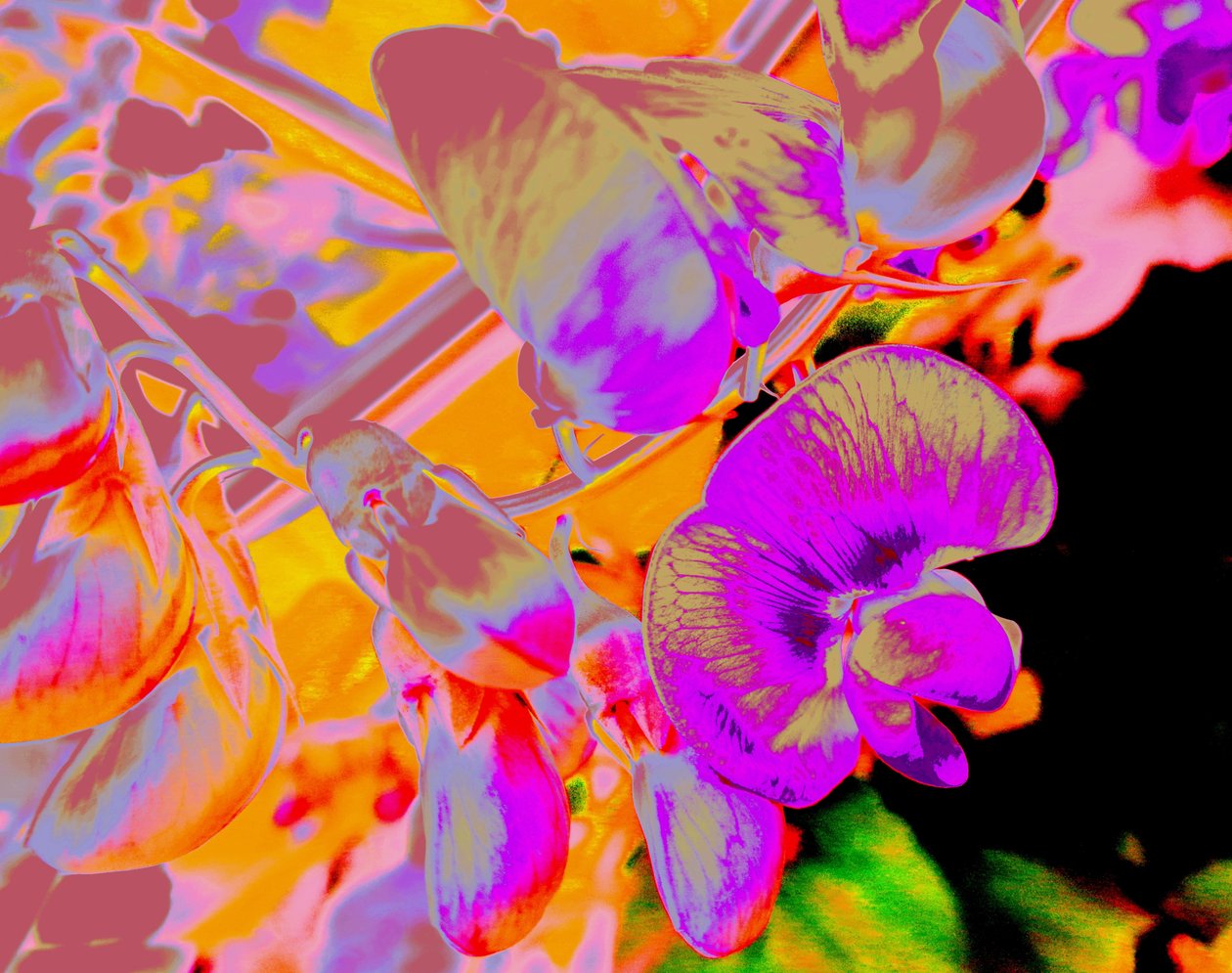 Sommerblumen بواسطة مارتينا كونيتزكي