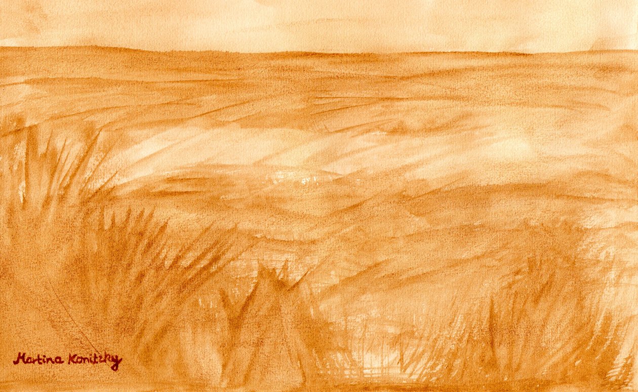 Sommerfelder بواسطة مارتينا كونيتزكي