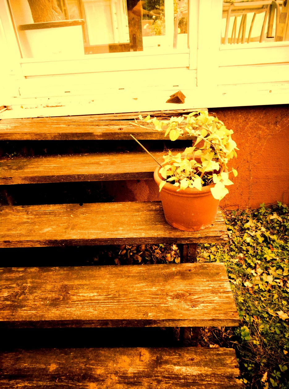 Verandatreppe بواسطة مارتينا كونيتزكي