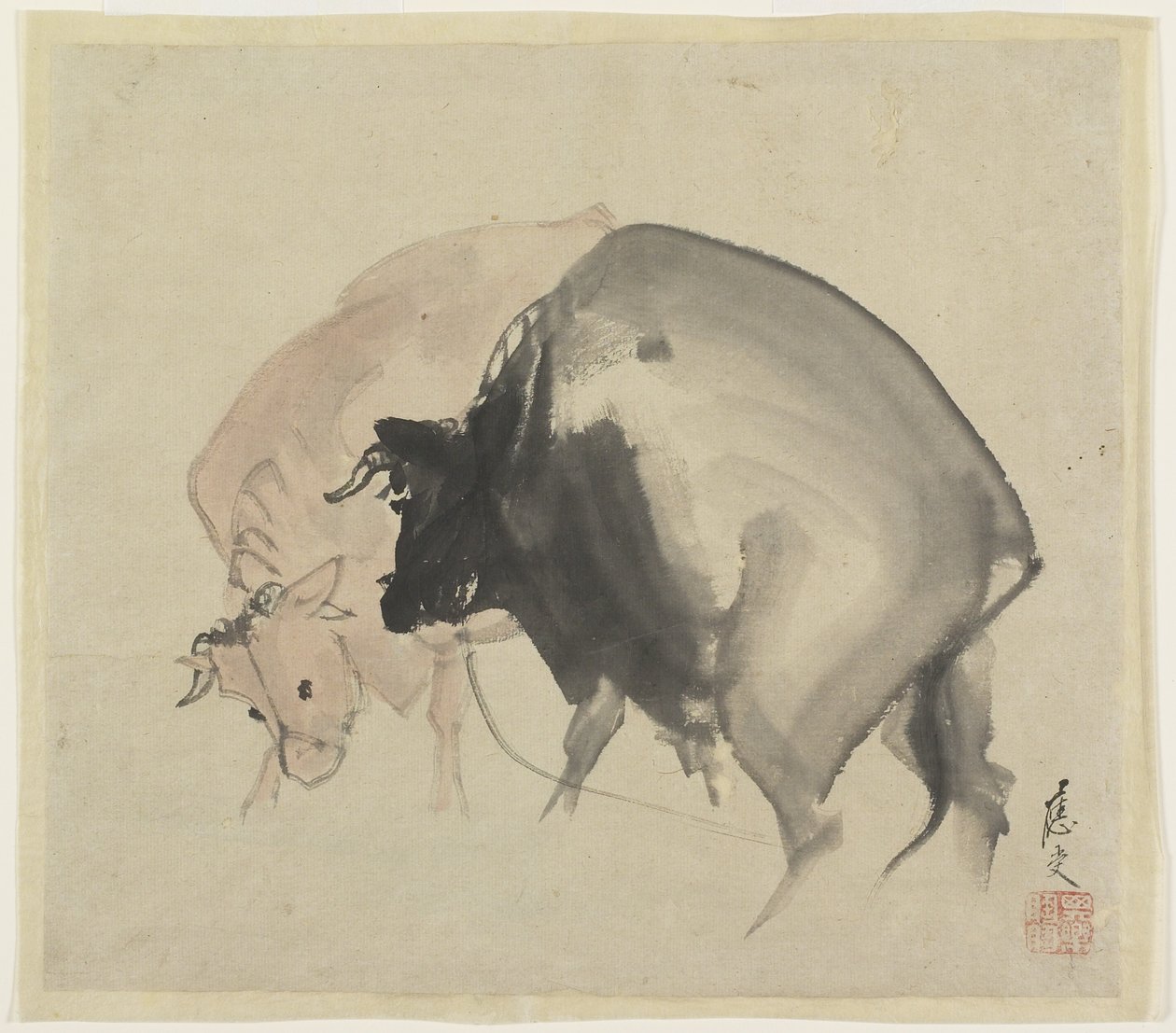 Two Bulls، c.1810 (حبر وألوان على ورق) بواسطة ماروياما أوجو