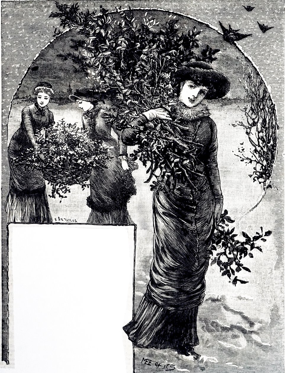 نقش يصور مجموعة هولي ودائمة الخضرة لتزيين عيد الميلاد. رسمها ماري إلين إدواردز (1838-1934) فنانة إنجليزية ورسامة لكتب الأطفال بواسطة ماري إلين إدواردز