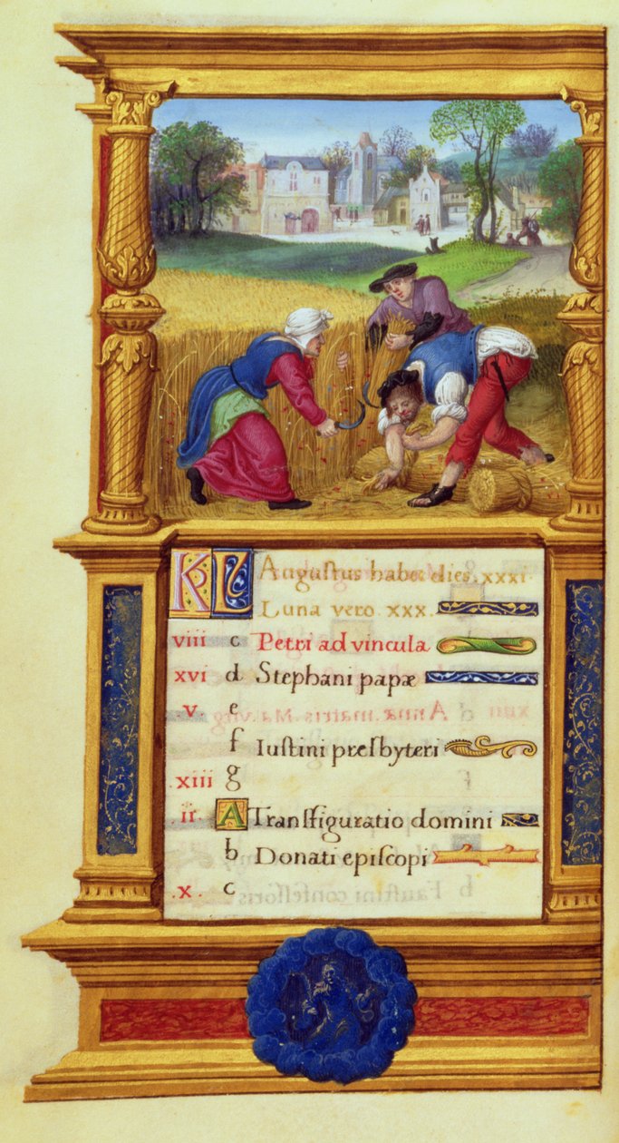 MS W.449 fol.9v أغسطس حصاد القمح ، c.1525 بواسطة سيد جان دي موليون