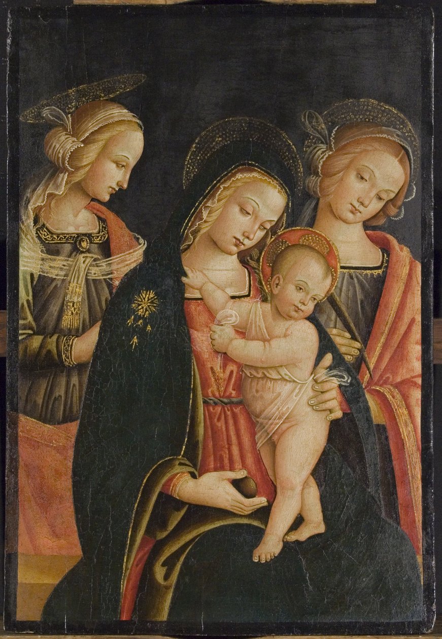 مادونا والطفل مع قديسين ، حوالي 1500 بواسطة سيد Cortona Tondo