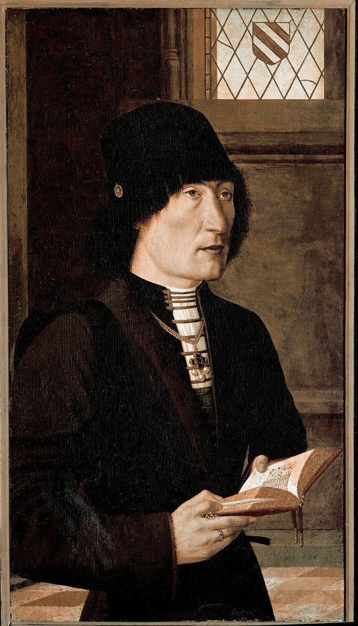 Portrait of Pierantonio Baroncelli (oil on wood, circa 1489) بواسطة سيد صور Baroncelli