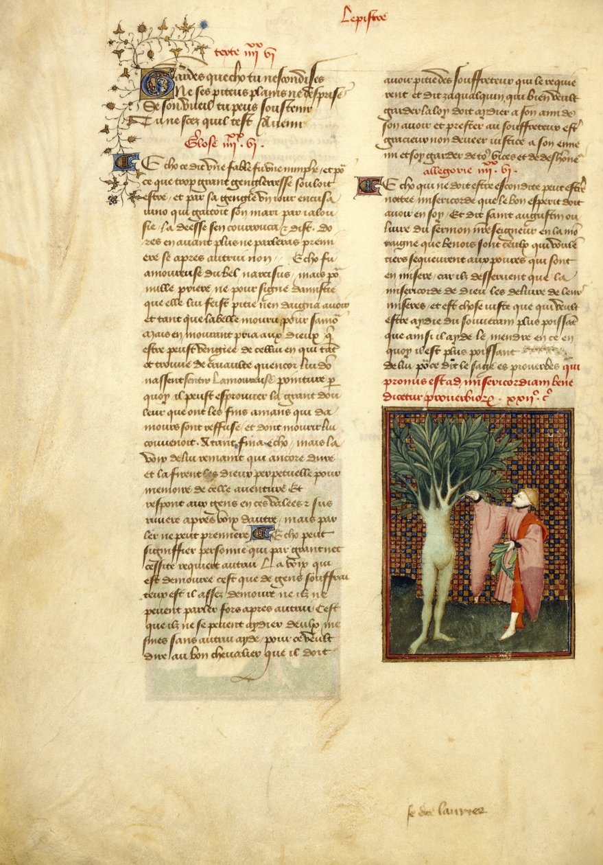 Harley 4431، f.134v Apollo and Daphne، from the Collected Works of Christine de Pisan 