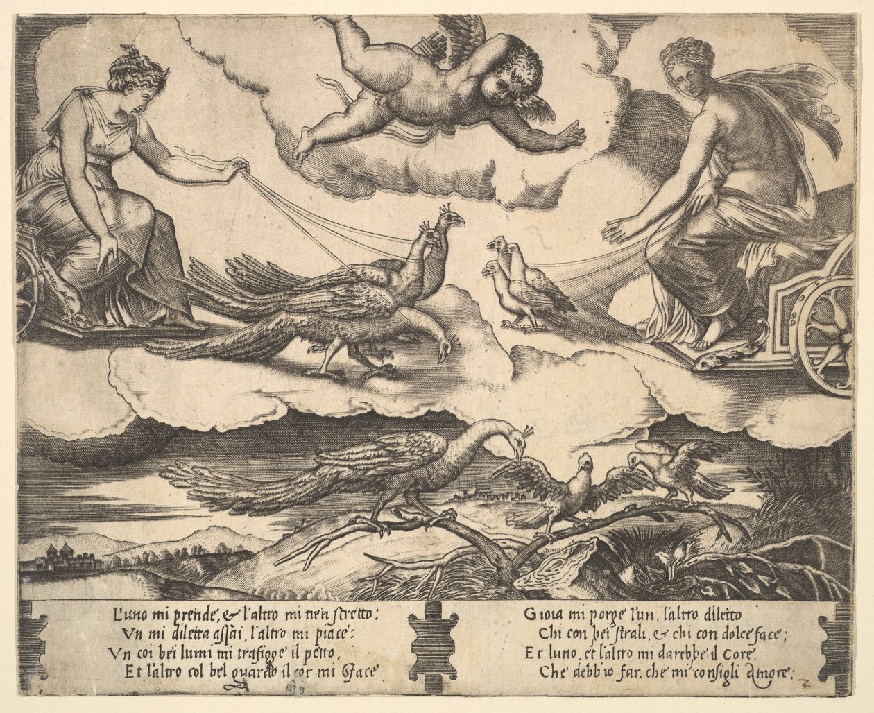 رمزية الزواج والحب ، جونو في عربة رسمها الطاووس على اليسار ، فينوس في ... ، 1530-60. بواسطة سيد الموت