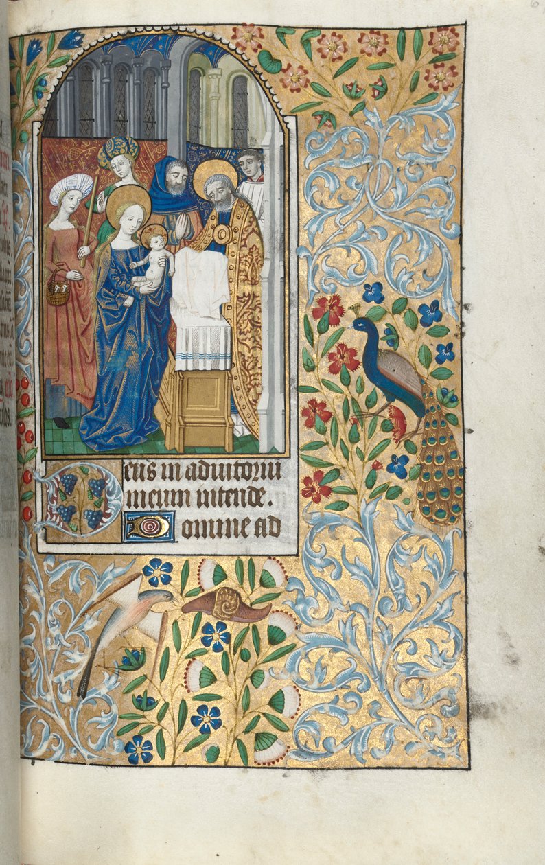 كتاب ساعات استخدام روان: fol. 67 و ، تقديم المسيح الطفل في الهيكل ، ج. 1470. بواسطة سيد لاتيني جنيف