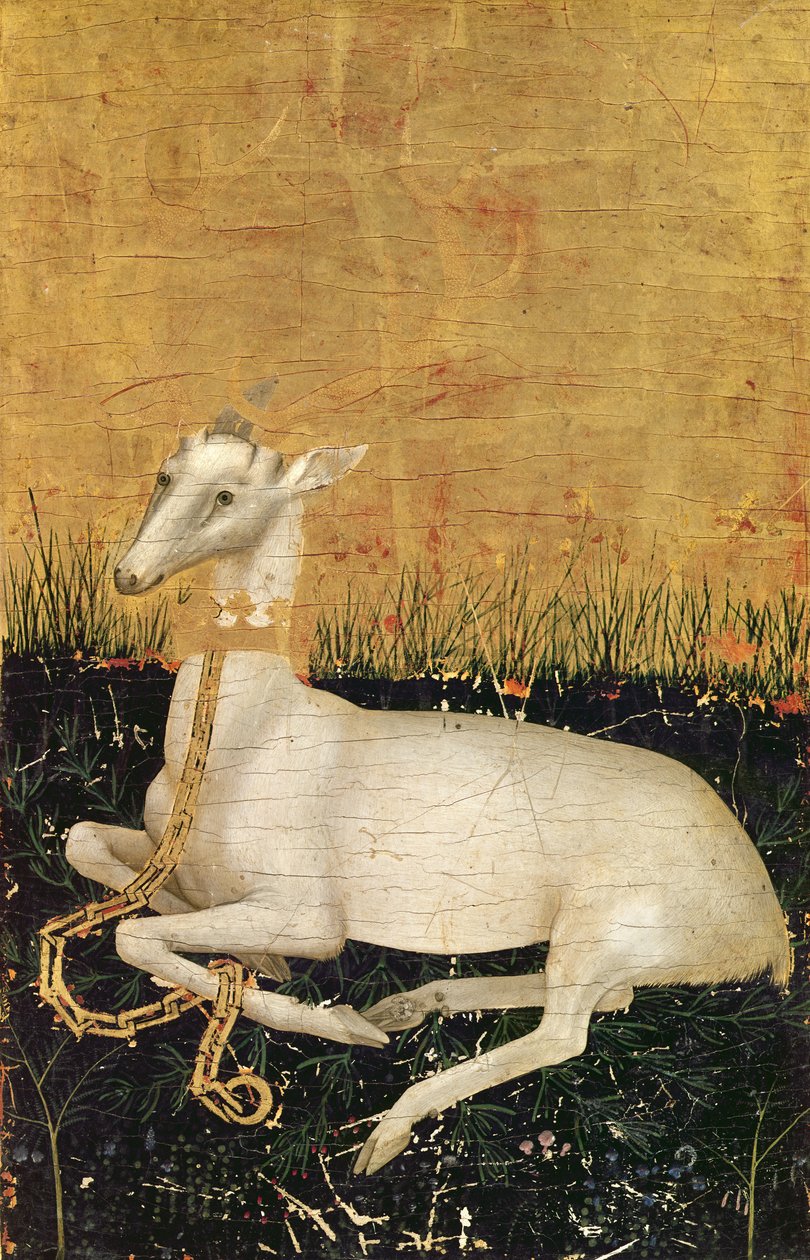 وايت هارت ، من فيلم The Wilton Diptych c.1395-99 (درجة حرارة البيض على خشب البلوط) (بالعكس) بواسطة سيد ويلتون ديبتيتش