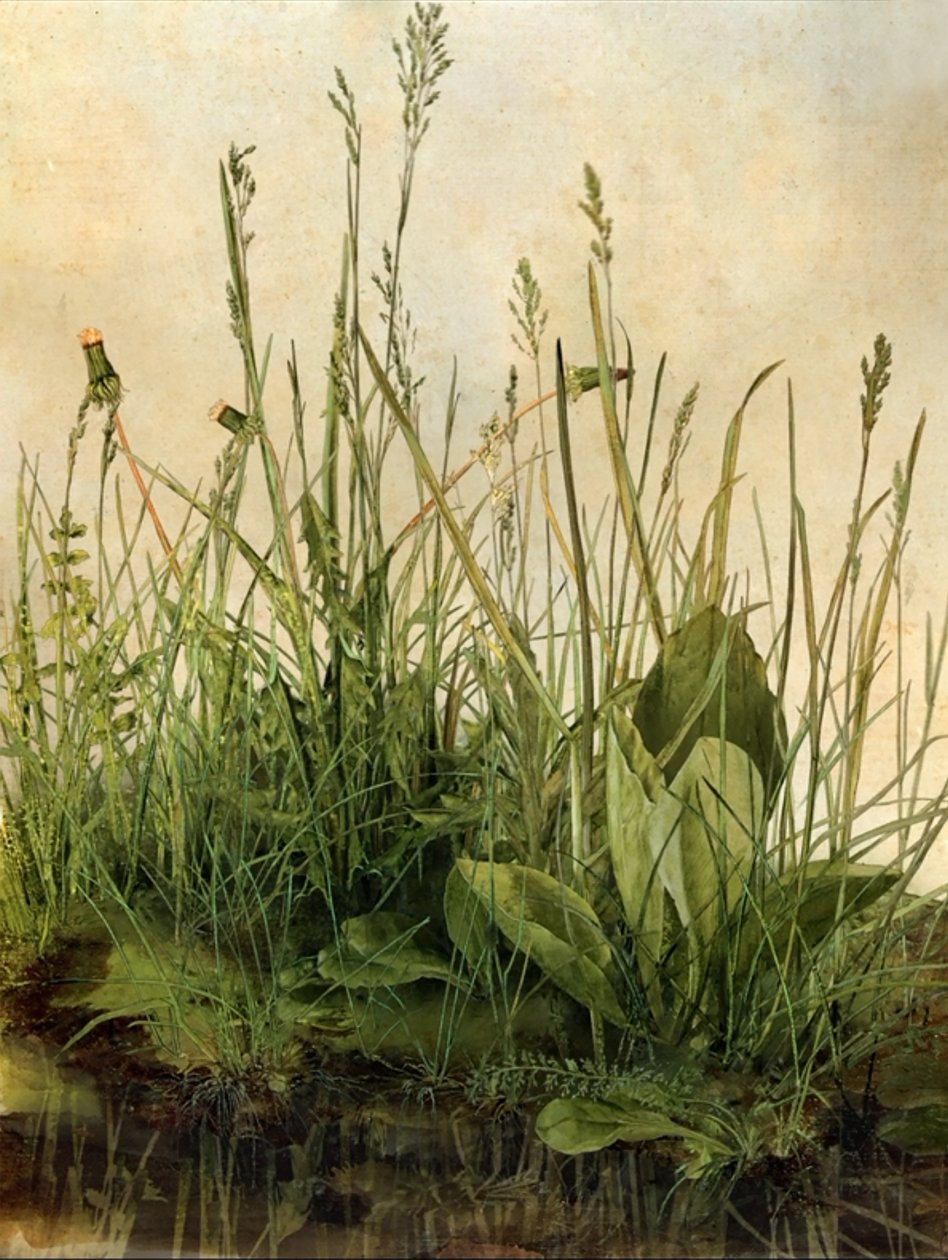Whispering Weeds، 2011 (إطار خشبي وإطار وشاشة LCD ومروحة وقرص صلب) بواسطة مات كوليشاو