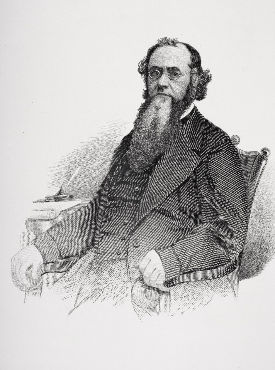صورة إدوين م. ستانتون (1814-69) بواسطة ماثيو ب برادي