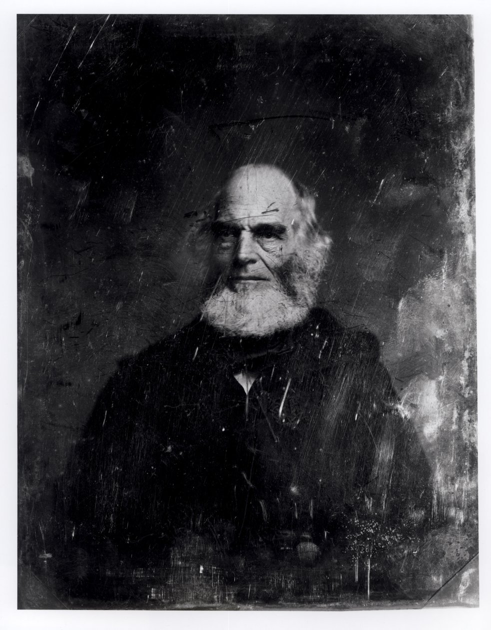 وليام كولين برايانت (1794-1878) c.1851-60 (daguerreotype) بواسطة ماثيو ب برادي