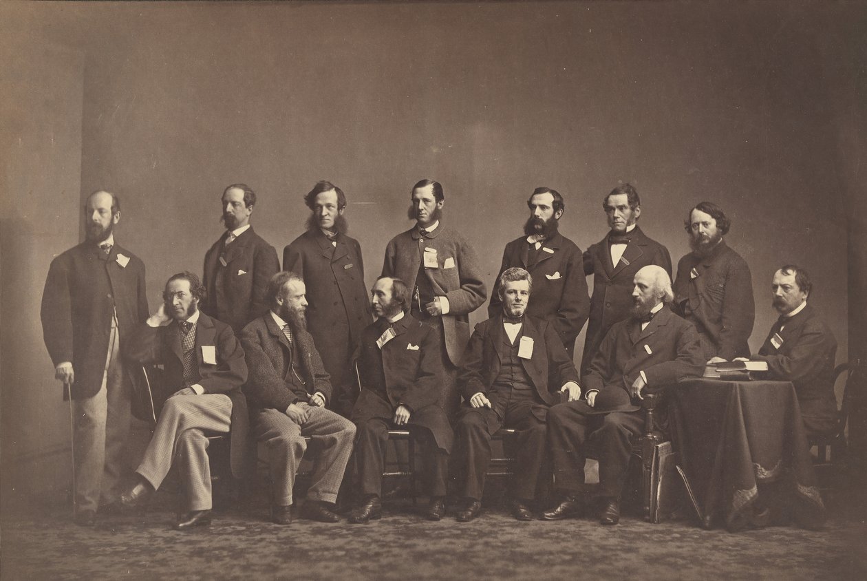 [أعضاء لجنة نيويورك الصحية] ، كاليفورنيا. 1860. بواسطة ماثيو برادي