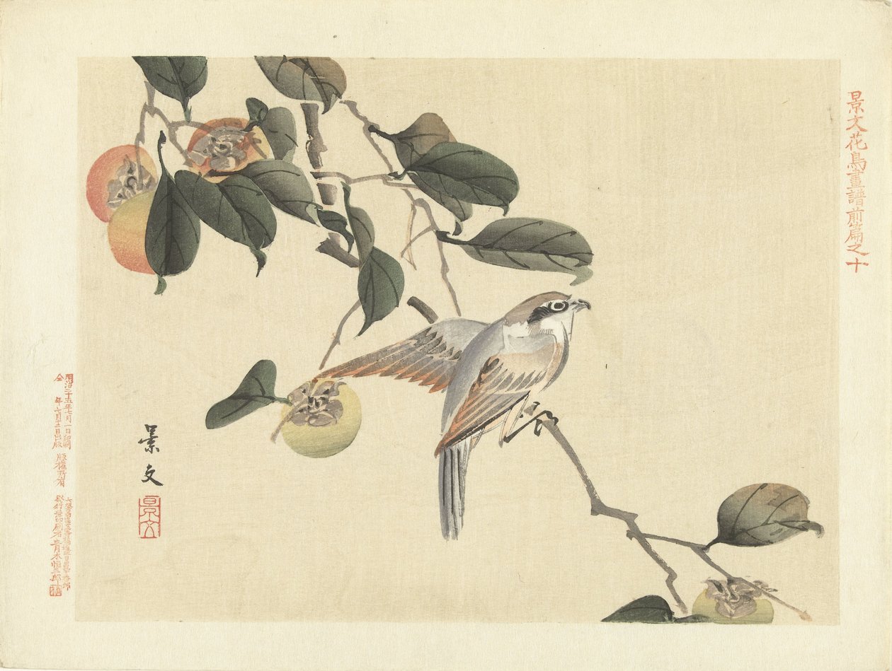 الطيور والبرسيمون اسكتشات الزهور والطيور لكيبون - الجزء الأول (عنوان المسلسل) قلم Keibun Kacho Gafu Zen (عنوان السلسلة على الكائن) بواسطة ماتسومورا كيبون