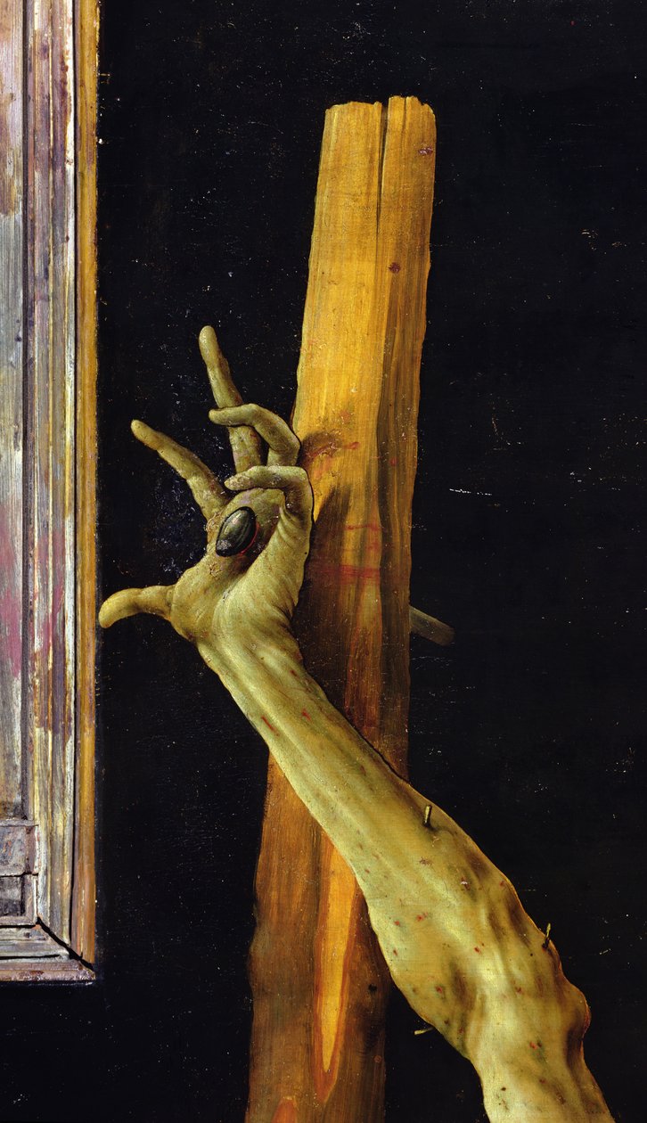 إيسنهايم Altarpiece ، التفاصيل المغلقة ليد المسيح اليسرى ، c.1512-16 زيت على لوحة بواسطة ماتياس جرونوالد