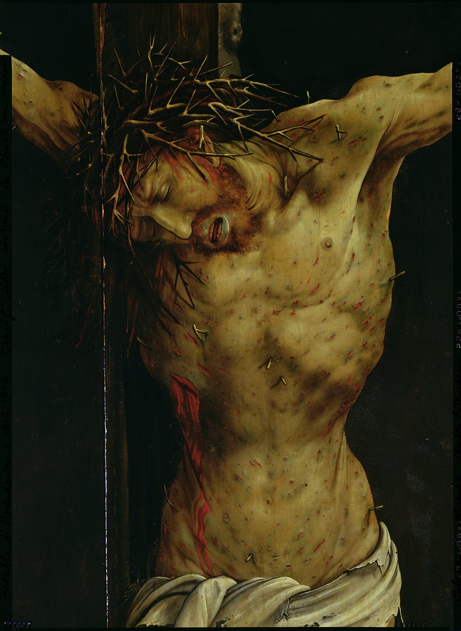 الصلب من Isenheim Altarpiece ، تفاصيل Christs torso ، c.1512-16 زيت على تفاصيل اللوحة بواسطة ماتياس جرونوالد