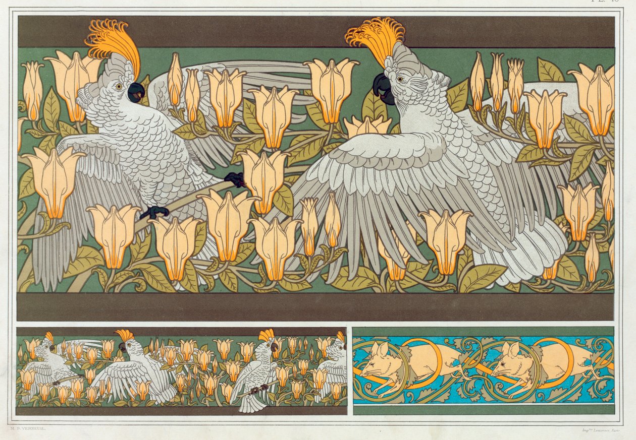 تصميم لطلاء ورق الحائط على حدود Cockatoo و Magnolia ، حانة. 1897. بواسطة موريس بيلارد فيرنويل