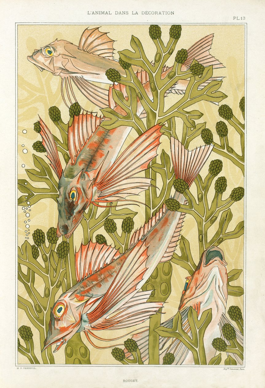 Red Mullet ، من "L