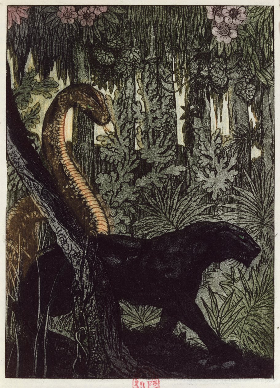 Kaa&39;s Hunt ، رسم توضيحي من "كتاب الأدغال" بقلم روديارد كيبلينج (1865-1936) نشر في باريس ، 1930 بواسطة موريس دي بيك
