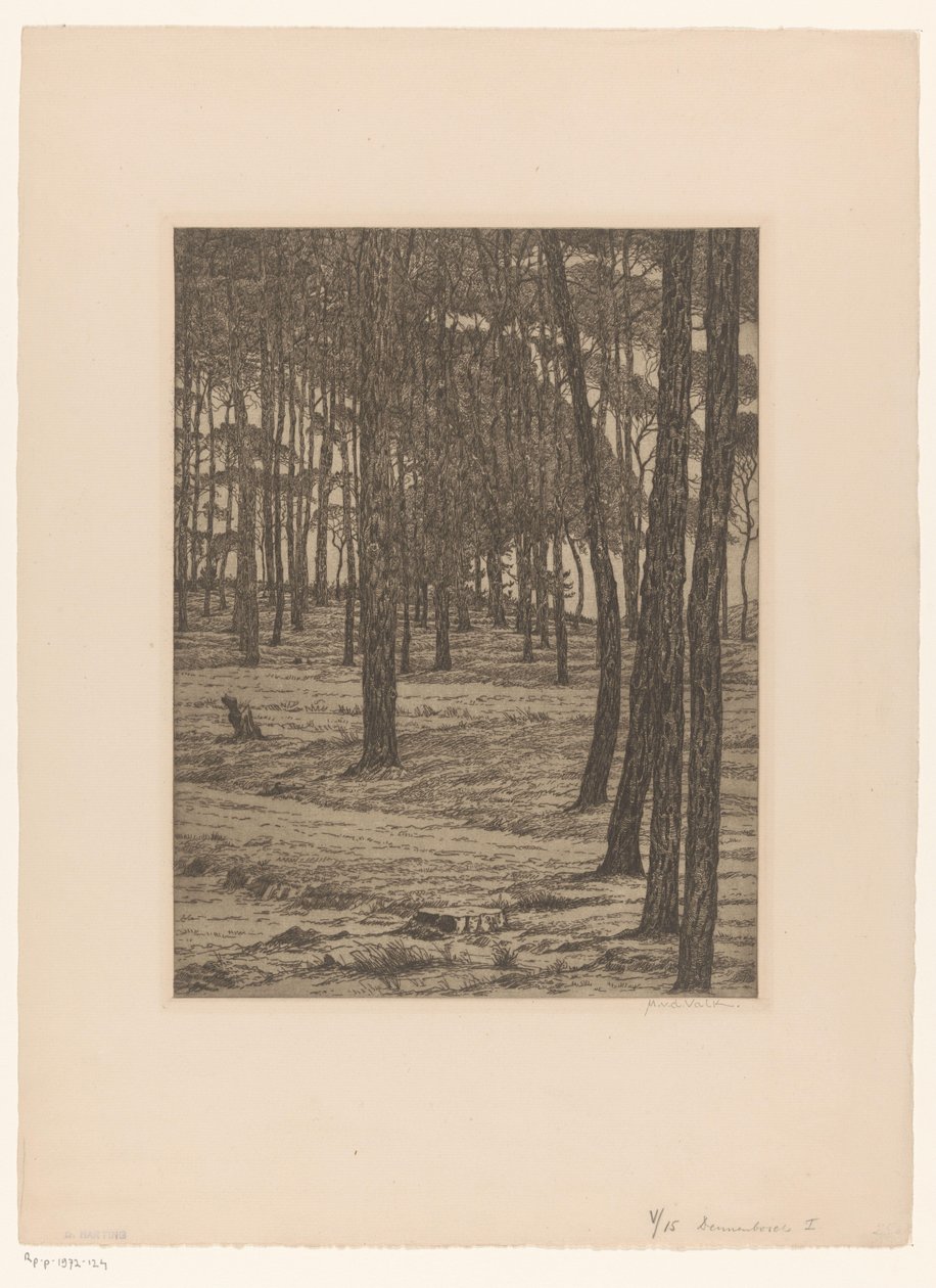 Dennenbosch I (العنوان الأصلي على الكائن) Bos (العنوان الأصلي) بواسطة موريتس فان دير فالك (توقيع الفنان)