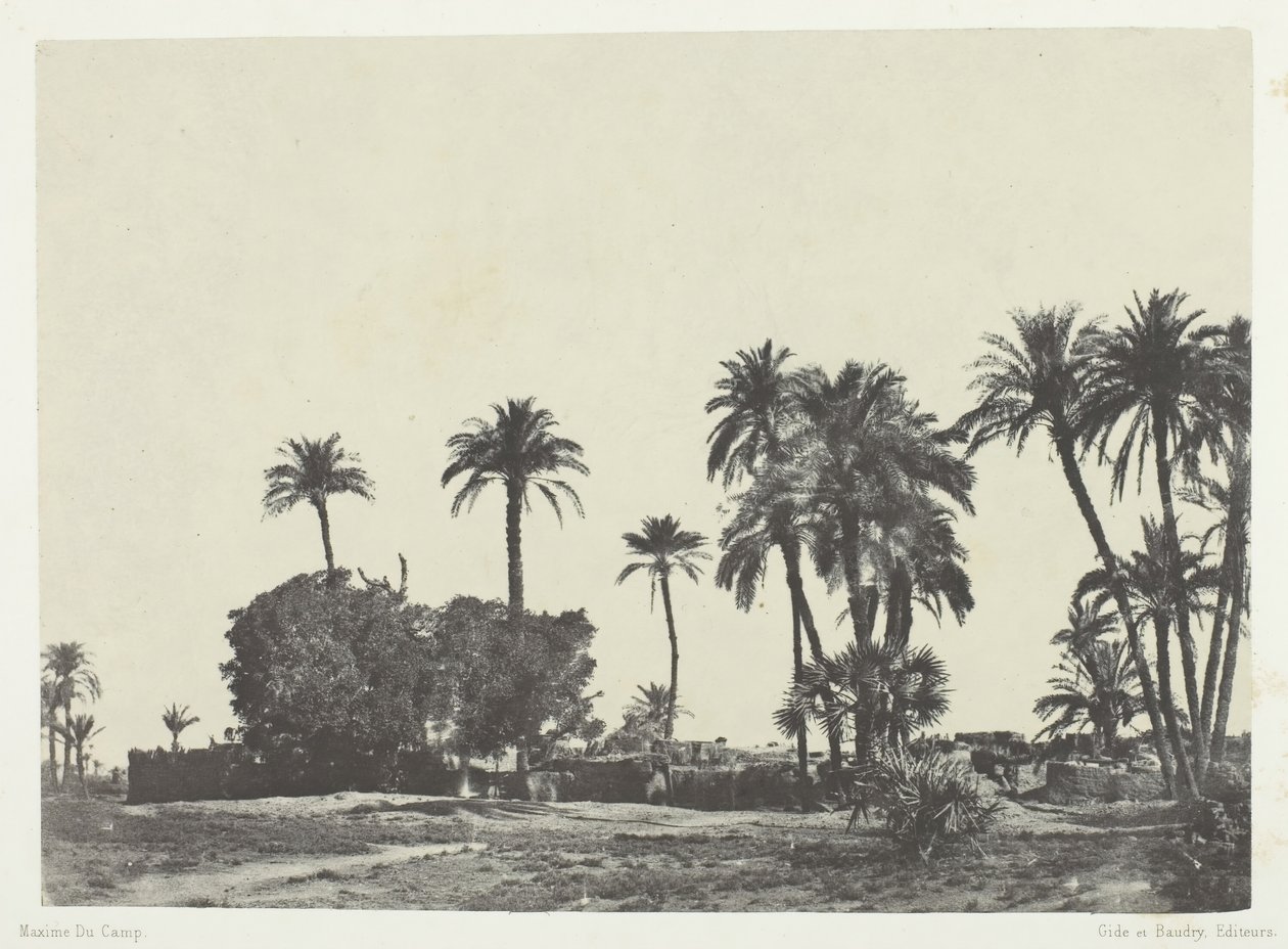 قرية الحمامة ، صعيد مصر ، 184951 ، طبعت 1852. بواسطة ماكسيم دو كامب