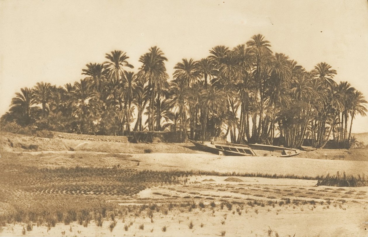 منظر لجزيرة إلفنتين ، مقابل أسوان ، 1849-50. بواسطة ماكسيم دو كامب