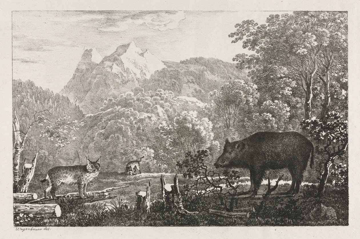 Wild Boar ، Wildcat and Lynx ، 1807. بواسطة ماكسيميليان جوزيف واجينباور
