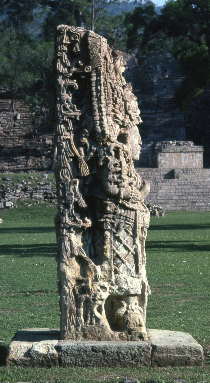 Copan Stela H ، الفترة الكلاسيكية المتأخرة ، حوالي 730 م بواسطة المايا