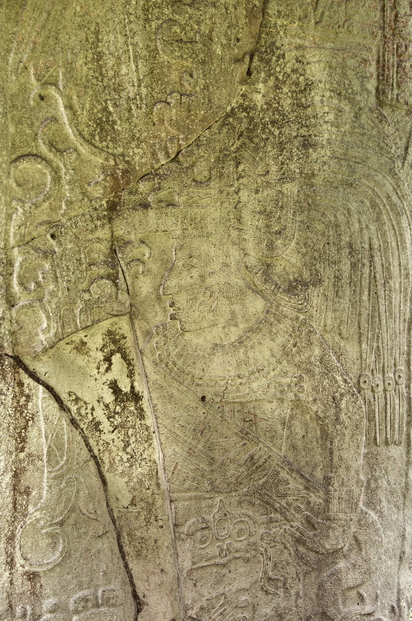 تفاصيل Stela 9 التي تصور Ajb&39;alun Haab&39;tal Wat&39;ul K&39;atel ، Terminal Classic King من Ceibal ، غواتيمالا ، احتفالًا بنهاية القطون التاسع في م. 849 حجر بواسطة المايا