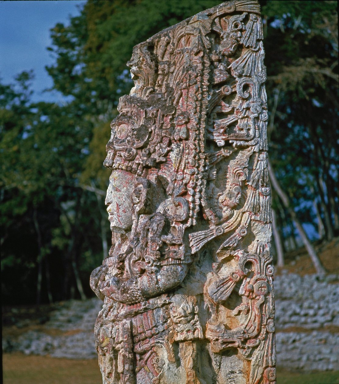 Stele H، Plaza de Ceremonias، 731 م بواسطة المايا