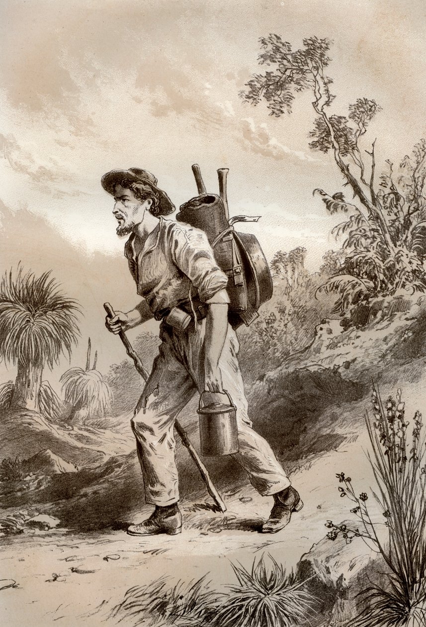 حفار على المتشرد ، أستراليا ، 1879. بواسطة ماكفارلين وإرسكين