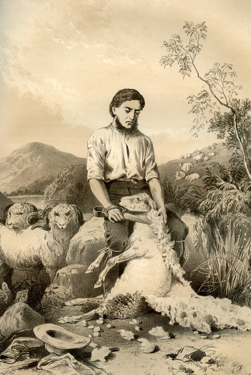 قص الأغنام ، 1879 بواسطة ماكفارلين وإرسكين