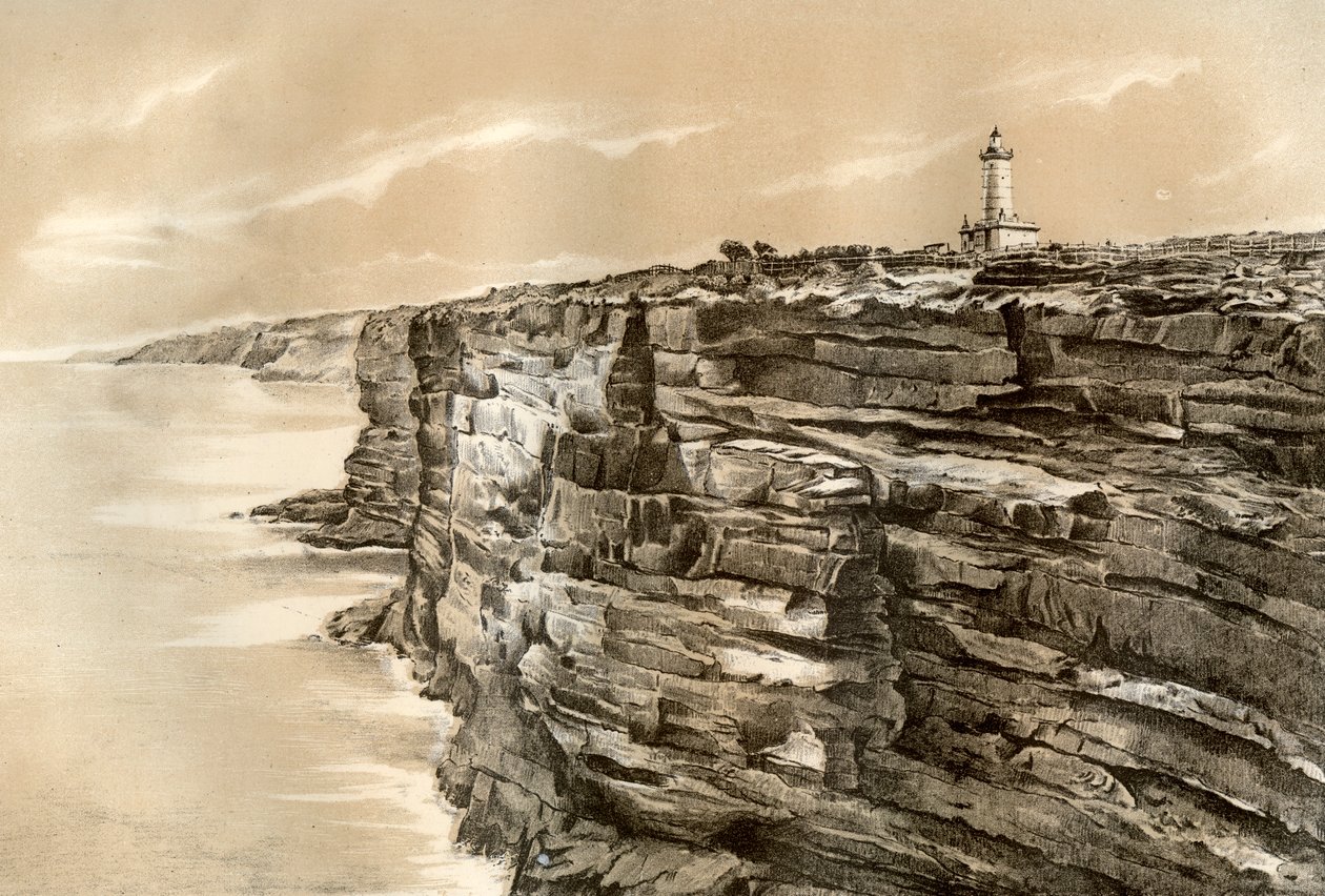 ساوث هيد ، بورت جاكسون ، 1879 بواسطة ماكفارلين وإرسكين