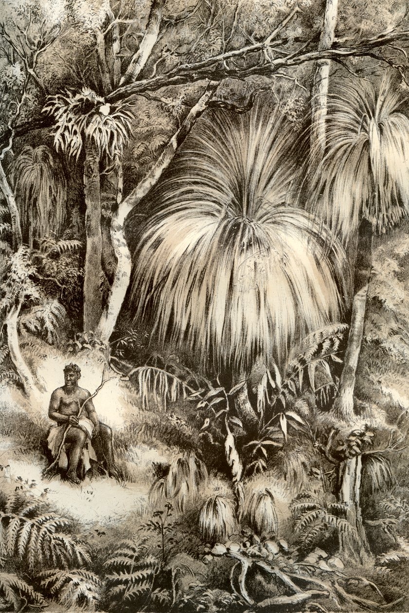 مشهد غابة تسمانيا ، 1879 بواسطة ماكفارلين وإرسكين