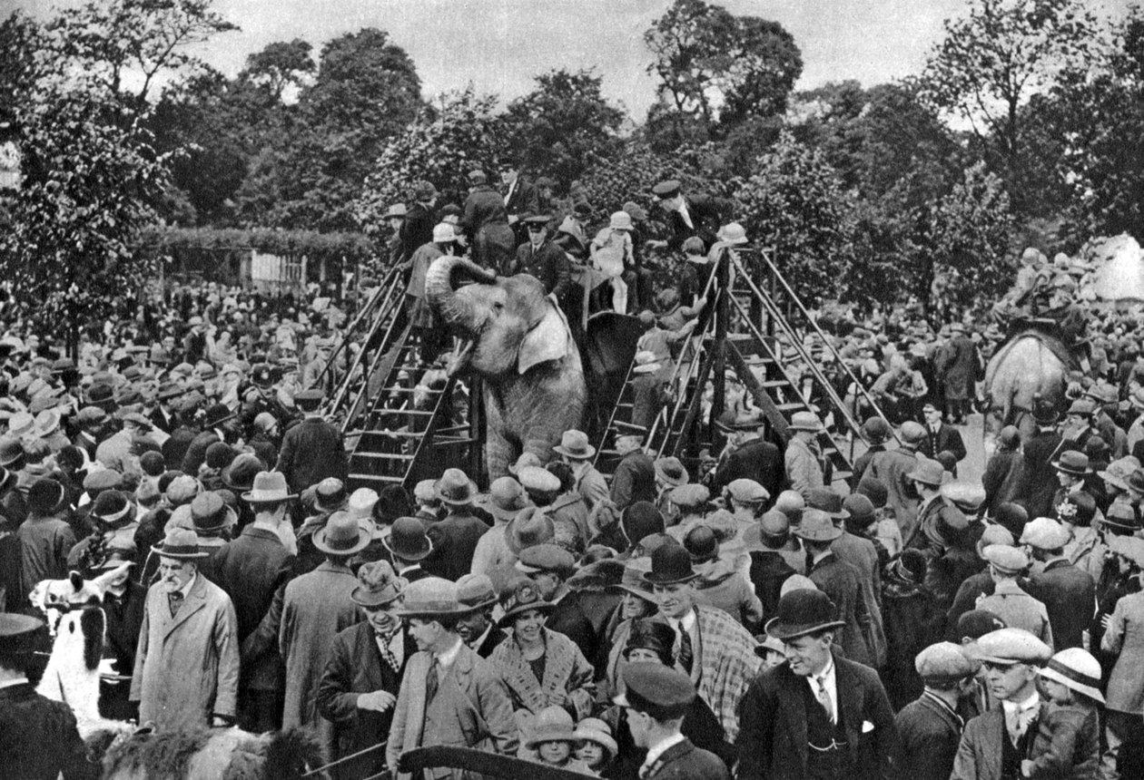 ركوب الفيل في حديقة حيوان لندن ، 1926-1927 بواسطة ماكليش