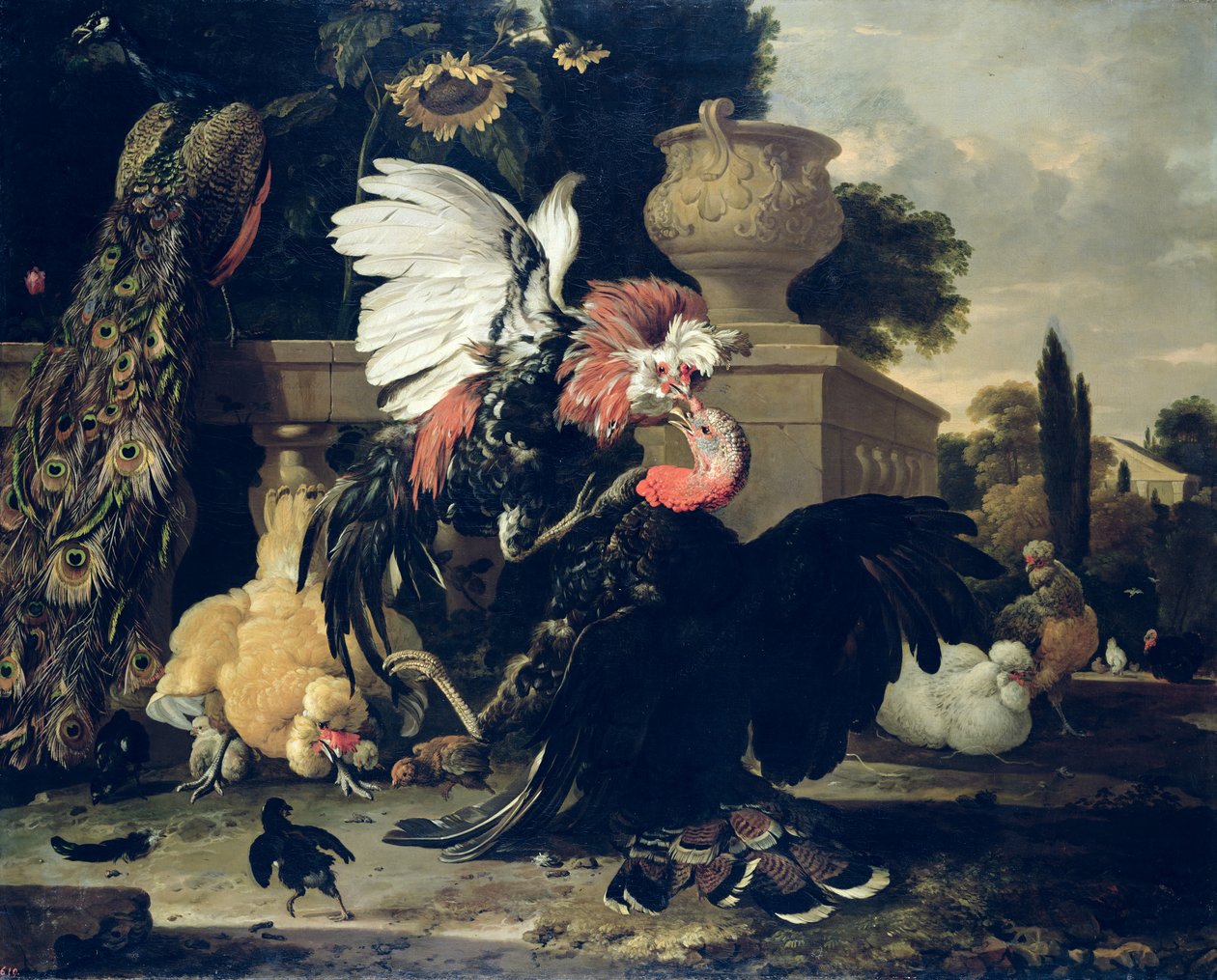 قتال بين الديك وتركيا ، 1668 بواسطة Melchior de Hondecoeter