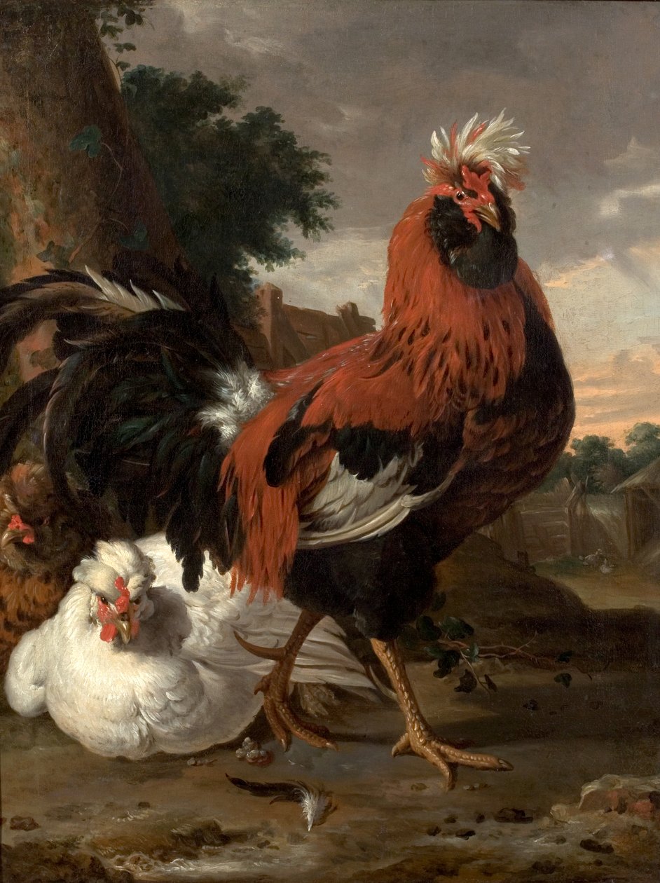 الطيور بواسطة Melchior de Hondecoeter