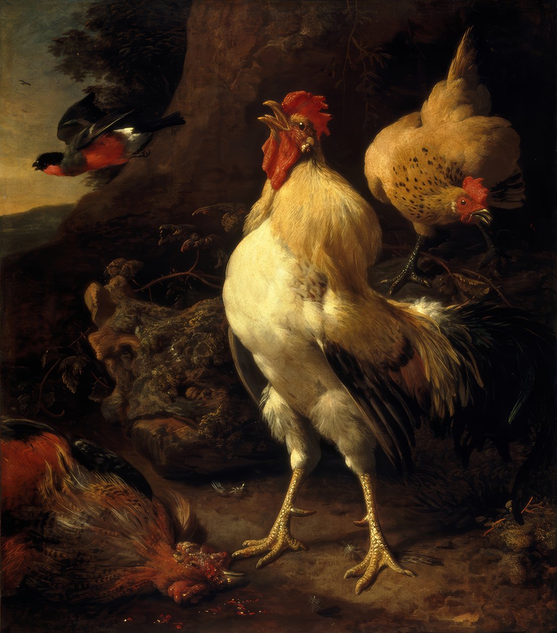 M. de Hondecoeter ، Victorious Rooster بواسطة Melchior de Hondecoeter