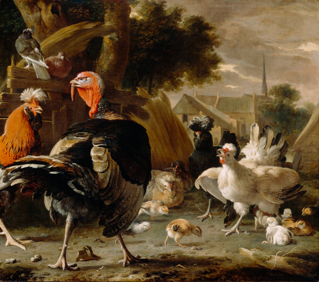 ساحة الدواجن ، ج بواسطة Melchior de Hondecoeter