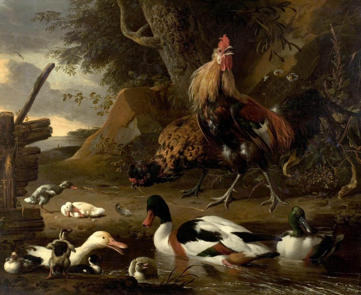 اثنين من الطيور والبط على بركة بواسطة Melchior de Hondecoeter