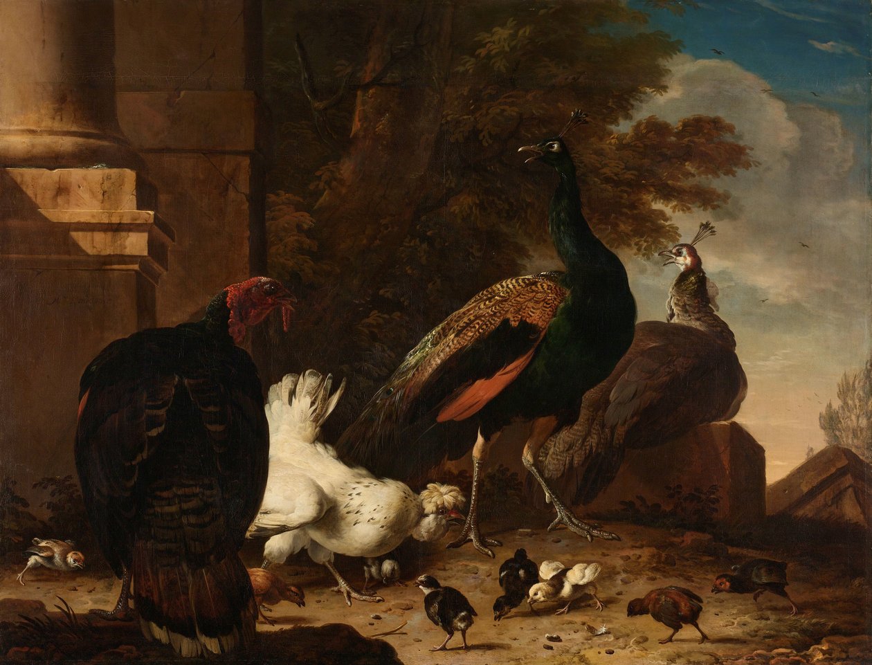 دجاجة مع طاووس وتركيا بواسطة Melchior d'Hondecoeter
