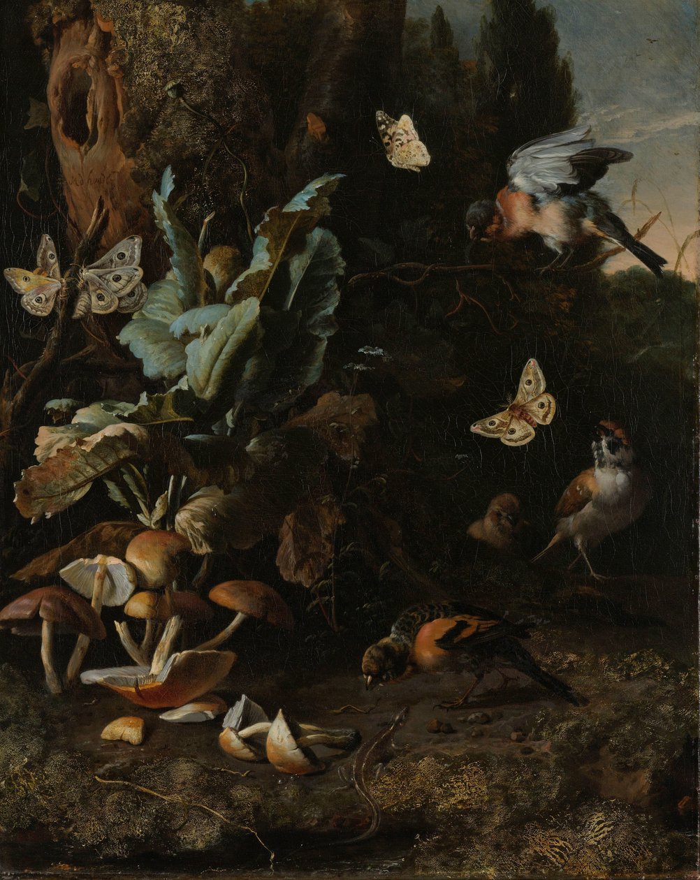 الحيوانات والنباتات بواسطة Melchior d'Hondecoeter