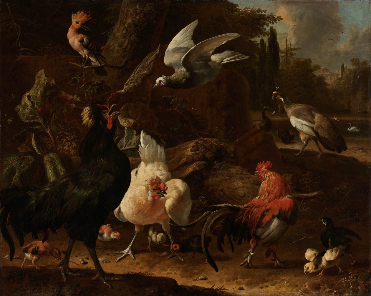 الطيور في الحديقة بواسطة Melchior d'Hondecoeter