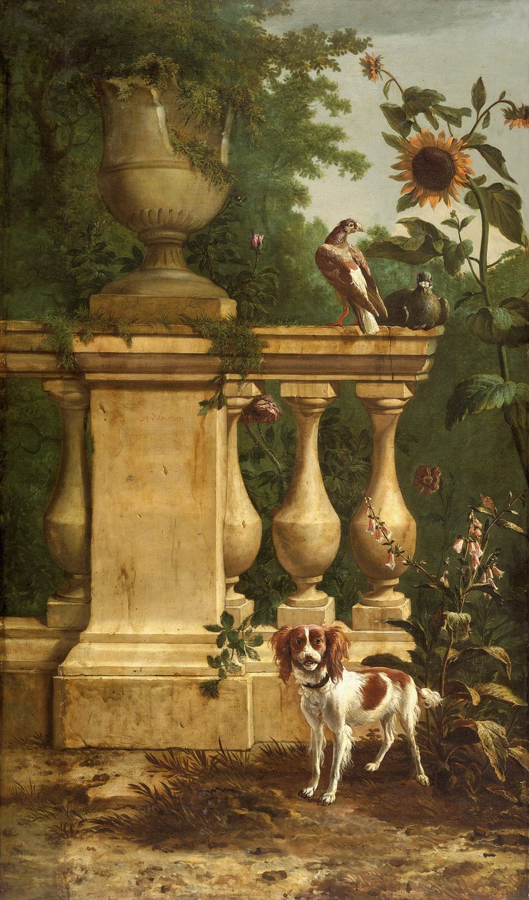 حمام وكلب في الحديقة ، ١٦٦٠-١٦٩٠. بواسطة Melchior d'Hondecoeter