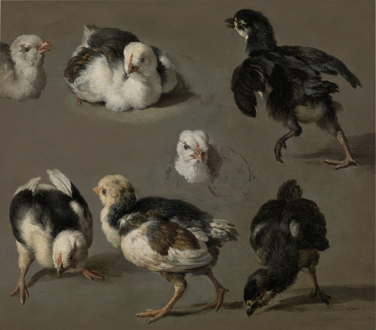 سبع فراخ بواسطة Melchior d'Hondecoeter