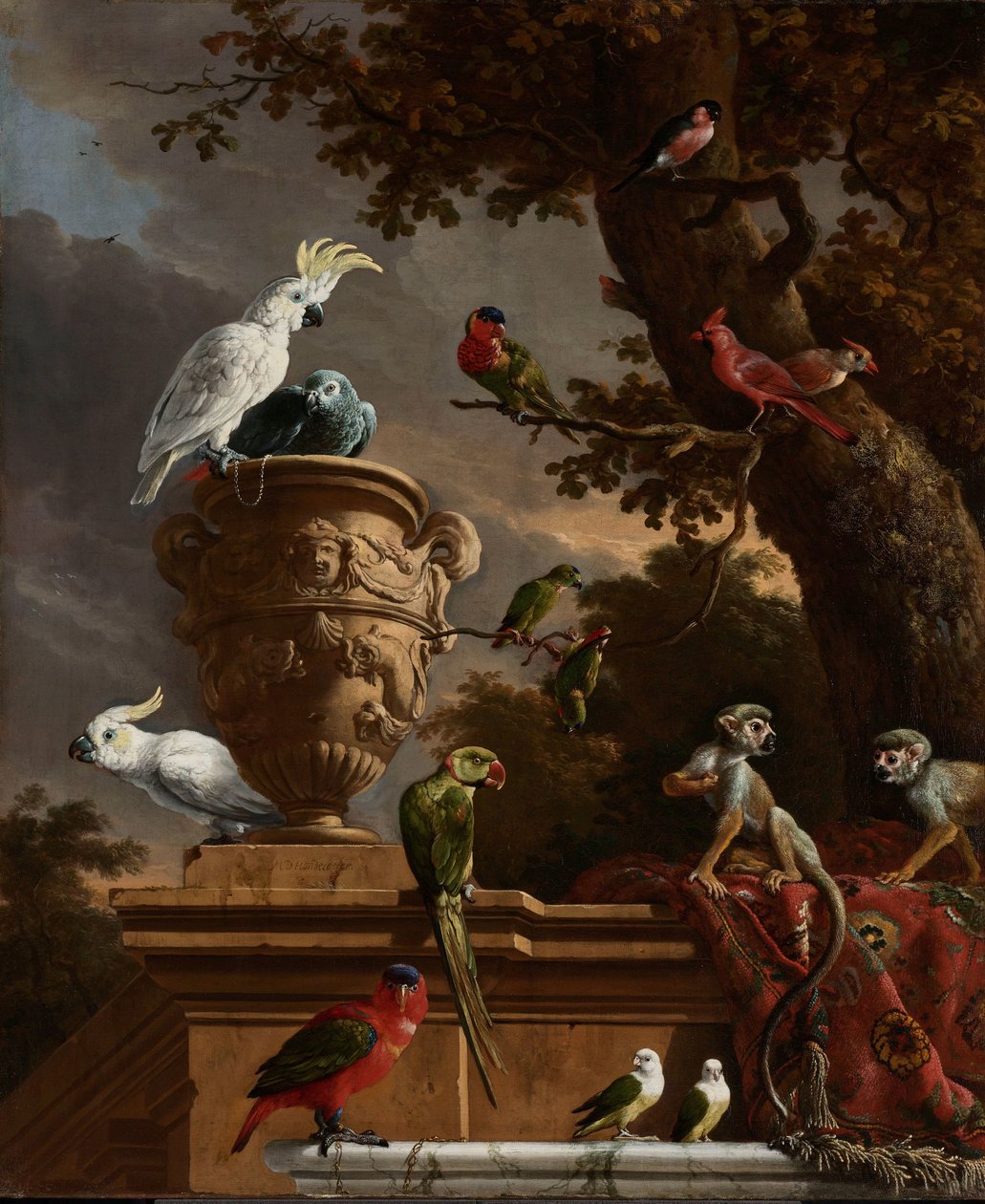 حديقة الحيوانات حديقة الحيوانات بواسطة Melchior d'Hondecoeter